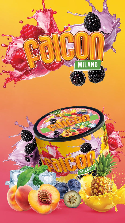 FALCON Mılano 250GR