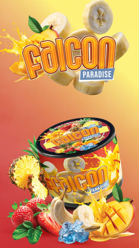 FALCON Paradıse 250GR