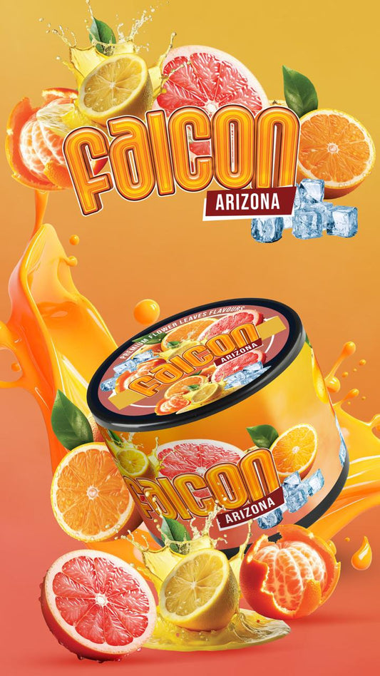 FALCON Arizona 250GR